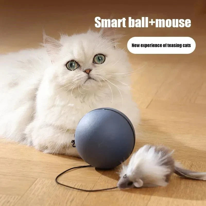 Cat playing with a smart ball and mouse toy on a wooden floor.