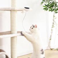 Cat playing with a laser pointer on a cat tree