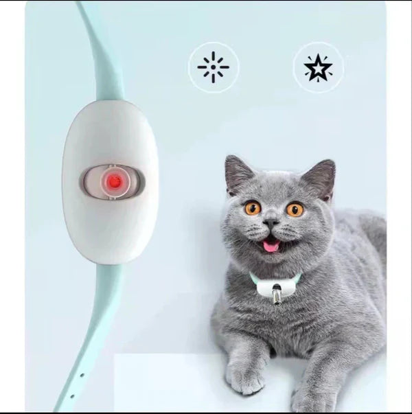 Gray cat with a electronic device on a light blue background