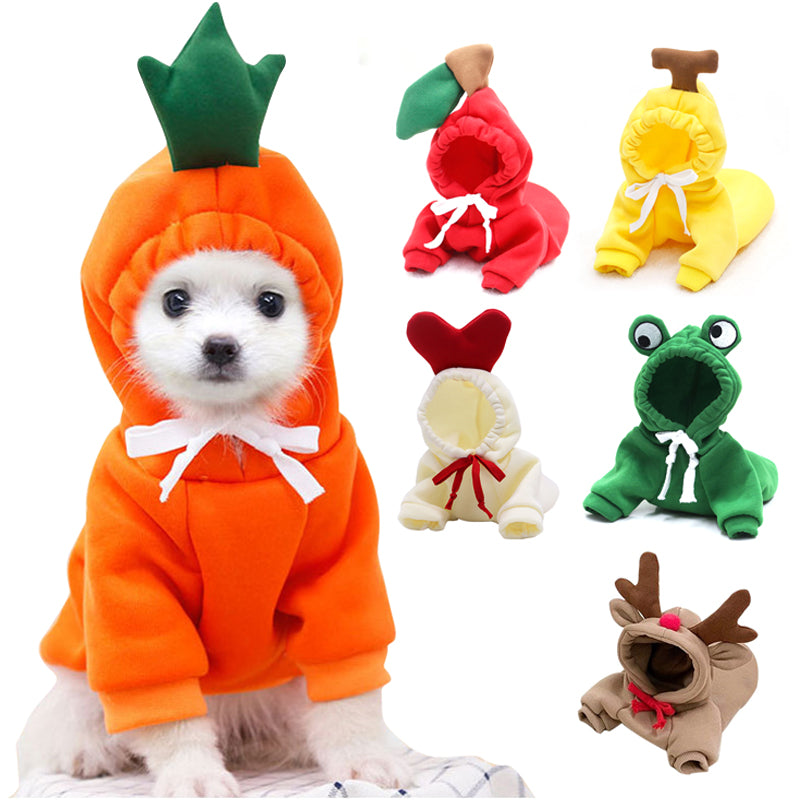 Fruit design pet sweater by Nova Mart, warm winter dog clothing with colorful fruit patterns for small dogs.