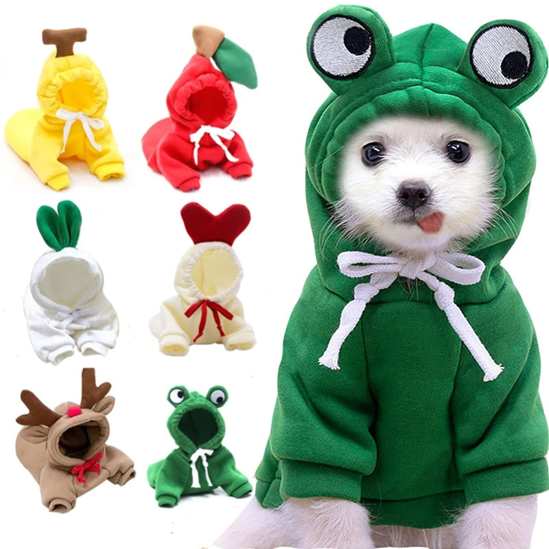 Nova Mart fruit design pet sweater, warm winter dog clothes with colorful fruit patterns, cozy and stylish for small dogs.