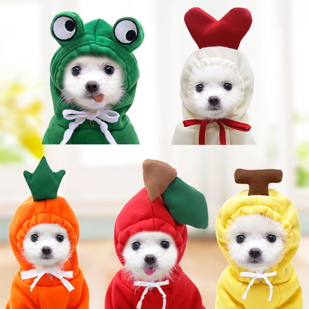 Cute fruit design pet sweater from Nova Mart, warm winter dog clothing with colorful fruit patterns for cozy outdoor walks.