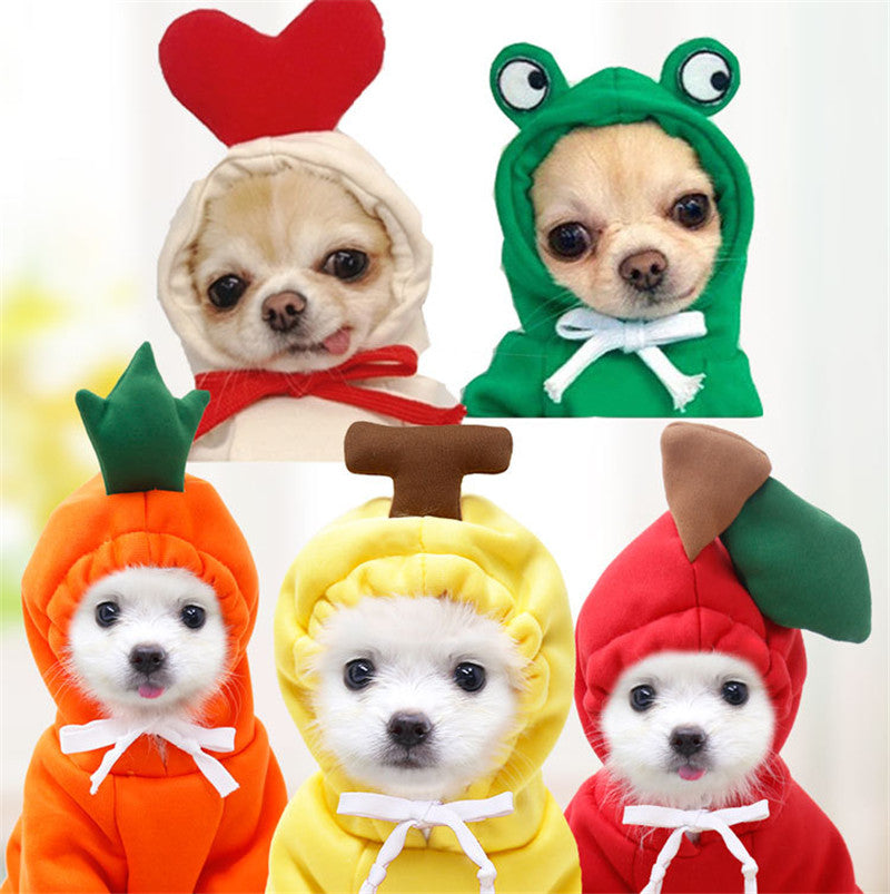 Fruit design pet sweater by Nova Mart, warm winter dog clothes, snug fit for small dogs with colorful fruit patterns.