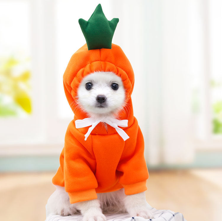 Colorful fruit design pet sweater by Nova Mart, warm winter dog clothing for small dogs, cozy and stylish for cold weather.